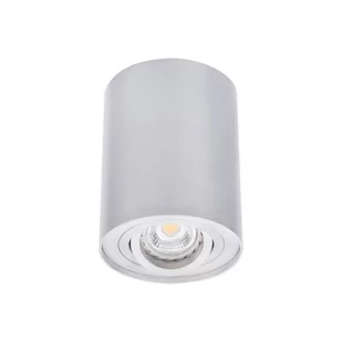 Kanlux Bord Lampa sufitowa 1-punktowa Aluminium DLP-50-AL 22550 - Lampy sufitowe - miniaturka - grafika 2