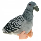 Maskotki i pluszaki - ZOO: pluszowa maskotka Gołąb szary 20cm (93776) - miniaturka - grafika 1