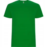 Koszulki męskie - T-shirt Męski Koszulka Męska GRUBSZA BAWEŁNA ROLY 6681 ZIELONY Grass M - miniaturka - grafika 1