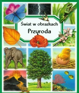 Świat w obrazkach. Przyroda - Książki edukacyjne - miniaturka - grafika 1
