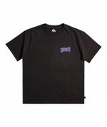 Koszulki sportowe męskie - Męski t-shirt z nadrukiem QUIKSILVER Thorndog - czarny - miniaturka - grafika 1