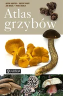 Poradniki hobbystyczne - Atlas grzybów - miniaturka - grafika 1