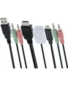 Przełączniki KVM - Inline Inline Kvm Switch, 2-Port, Usb-C + Hdmi To Hdmi, 4K, With Audio, Integrated Cable 62614I 62614I - miniaturka - grafika 1