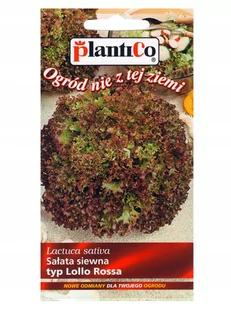 Plantico Sałata typ LolloRossa - Nasiona i cebule - miniaturka - grafika 1