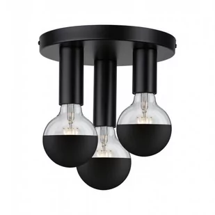 Paulmann Skogen lampa sufitowa czarna 3-punktowa - Lampy sufitowe - miniaturka - grafika 1
