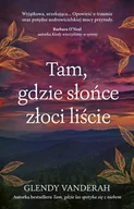 Literatura obyczajowa - Tam, gdzie słońce złoci liście - miniaturka - grafika 1