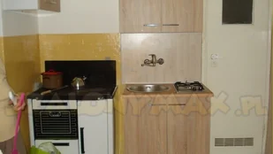 Kuchnia, angielka 9,2kW, Jawor z wężownicą (obudowana, kolor: brązowy) - spełnia anty-smogowy EkoProjekt 25980272 - Kuchnie węglowe - miniaturka - grafika 14