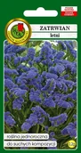 Nasiona i cebule - Zatrwian Letni Ciemnoniebieski 0.2 g PNOS - miniaturka - grafika 1