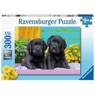 Puzzle - Ravensburger 129508 życia szczeniaków, puzzle 300 części XXL dla dzieci, zalecany wiek 9+ 12950 8 - miniaturka - grafika 1