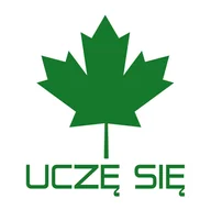 Akcesoria motoryzacyjne - Naklejka magnes Zielony Listek 20x20cm UCZĘ SIĘ - miniaturka - grafika 1