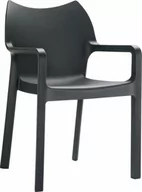 Krzesła - D2.Design Krzesło Dionisio Black Arm chair DK-3252 DK-3252 - miniaturka - grafika 1