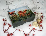 Pudełka i szkatułki - Szkatułka - makowa łąka - miniaturka - grafika 1
