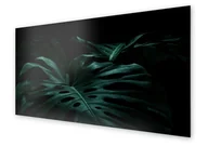 Dekoracje domu - Panel kuchenny HOMEPRINT Liście monstera w mroku 120x60 cm - miniaturka - grafika 1