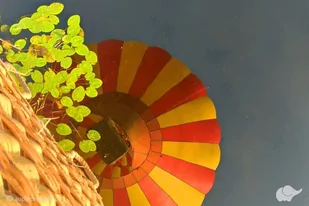 Dreamballoon Lot balonem - Kaszuby, Słupsk - Vouchery - miniaturka - grafika 1