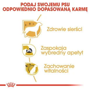 ROYAL CANIN Yorkshire Terrier Adult 1,5kg karma sucha dla psów dorosłych rasy yorkshire terrier - Sucha karma dla psów - miniaturka - grafika 5