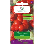 Nasiona i cebule - Pomidor wysoki Voyage nasiona W.Legutko - miniaturka - grafika 1