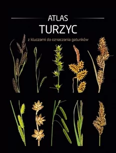 Atlas Turzyc Z Kluczami Do Oznaczania Gatunków Praca zbiorowa - Słowniki języków obcych - miniaturka - grafika 1