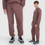 Dresy męskie - Spodnie Męskie 4F Sportowe Dresowe Joggery Brązowe 4FWAW25TTROM1273 XL Brązowy - miniaturka - grafika 1