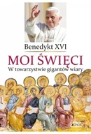 Religia i religioznawstwo - Moi święci - miniaturka - grafika 1
