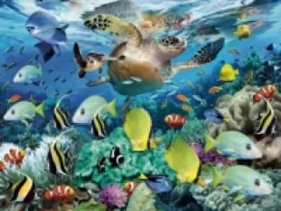 Ravensburger Puzzle 150 XXL Podwodny raj - Puzzle - miniaturka - grafika 3