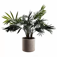 Sztuczne drzewka - Sztuczny liść Bonsai 40 cm - miniaturka - grafika 1