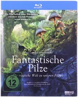Filmy dokumentalne Blu-ray - Niezwykły świat grzybów - miniaturka - grafika 1