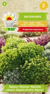 Toraf Majeranek nasiona ziół 1g 00037 - Nasiona i cebule - miniaturka - grafika 1