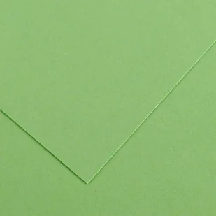 Karton Iris 240G 70*100 Pista. Ca40466 25Ark.200040466 - Papier do drukarek - miniaturka - grafika 1