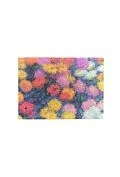 Teczki i skoroszyty - Teczka A4 Monet's Chrysanthemums PA9763-1 - miniaturka - grafika 1