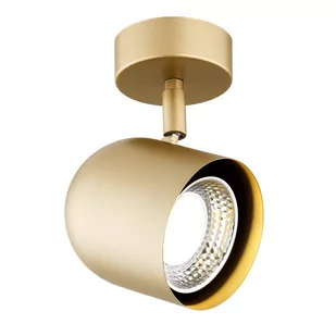 Lampa ścienna/sufitowa ISOLA 8260 - Argon - Lampy ścienne - miniaturka - grafika 1