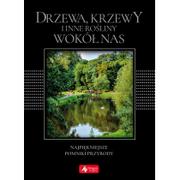 Nauki przyrodnicze - zbiorowe Opracowanie Drzewa krzewy i inne ro$412liny wokół nas wersja exclusive - miniaturka - grafika 1