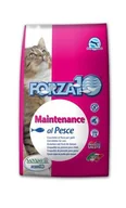 Sucha karma dla kotów - Forza10 Maintenance 10 kg - miniaturka - grafika 1