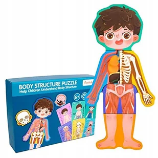 Dreniane Puzzle Anatomia Części Ciała Zabawka Edukacyjna Układanka Chłopiec - Puzzle Dreniane Puzzle Anatomia Części Ciała Zabawka Edukacyjna Układanka Chłopiec - Puzzle - miniaturka - grafika 1