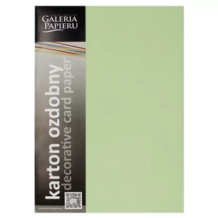 Karton ozdobny A4 210g Gładki jasnozielony satynowy (20) - Papier do drukarek - miniaturka - grafika 1