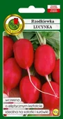 Nasiona i cebule - Rzodkiewka Lucynka 10 g PNOS - miniaturka - grafika 1