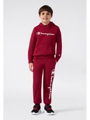 Bluzy damskie - Champion Bluza w kolorze czerwonym - miniaturka - grafika 1