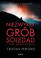 E-booki - thrillery - Niezwykły grób Soledad - miniaturka - grafika 1