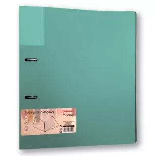 Segregator A4/2 35mm Morandi nieb-zielony PENMATE - Segregatory - miniaturka - grafika 1