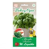 Nasiona i cebule - Legutko Bazylia właściwa zielonolistna 1g - miniaturka - grafika 1