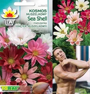 Nasiona i cebule - Toraf KWIATY Onętek Sea Shell muszelkowy 0,5g 00272 - miniaturka - grafika 1