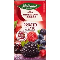 Herbata - Herbata HERBAPOL owocowo-ziołowa (20 tb) Prosto z Lasu 50g HERBACIANY OGRÓD o smaku owoców leśnych - miniaturka - grafika 1