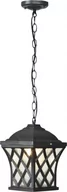 Lampy ogrodowe - Nowodvorski TAY 5293 lampa wisząca 1x60W E27 - miniaturka - grafika 1