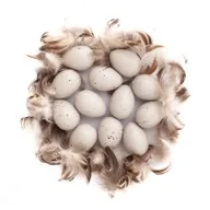 Podręczniki dla szkół podstawowych - Jajka przepiórcze i piórka - miniaturka - grafika 1