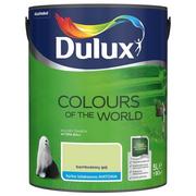 Farby wewnętrzne - Dulux Kolory świata Bambusowy Gaj 5L - miniaturka - grafika 1