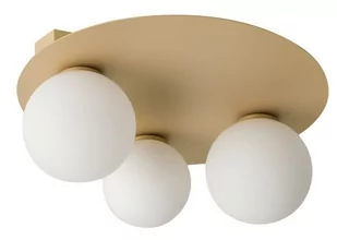 Sigma Nowoczesny plafon do biura i domu ARGON 2x G9 12W szer. 40cm złoty 33271 - Lampy sufitowe - miniaturka - grafika 1