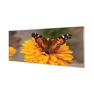 Dekoracje domu - Lacobel pod szafkę Kolorowy motyl kwiat 125x50 cm - miniaturka - grafika 1
