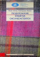 Biznes - Projektowanie struktur organizacyjnych - miniaturka - grafika 1