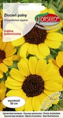 Nasiona i cebule - Nasiona Złocień polny żółty z czarnym środkiem 2g - Torseed - miniaturka - grafika 1