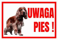 Akcesoria BHP - Uwaga Pies  ! Spaniel - Tabliczka Ostrzegawcza - miniaturka - grafika 1