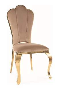 Krzesło glamour QUEEN VELVET beż BLUVEL 28 na złotym stelażu - Krzesła - miniaturka - grafika 1